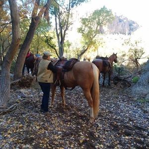 Meet your Posher, Brenda